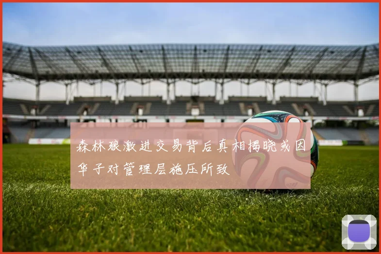 森林狼激进交易背后真相揭晓或因华子对管理层施压所致